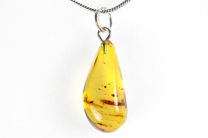 Polished Baltic Amber Pendant (Necklace) - Contains Three Flies! #288845